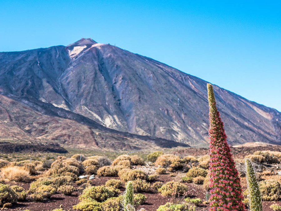 Vulkaan Teide