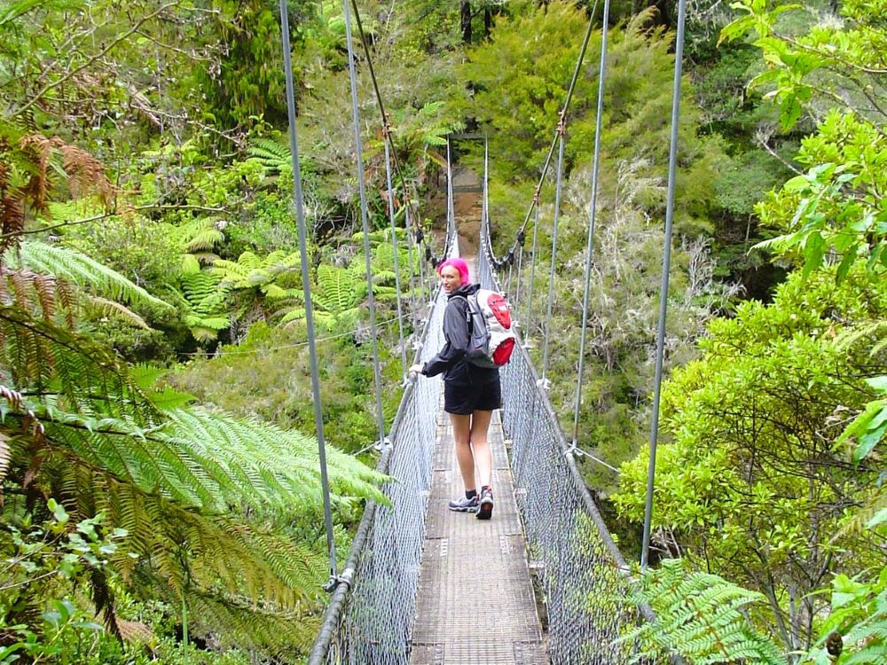 Jungle trekking