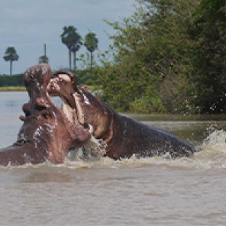 Afbeelding voor Explore Tanzania - Op safari in oktober of november?