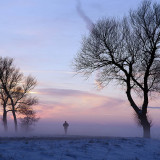 Afbeelding voor Winter in Friesland