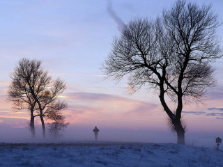 Afbeelding voor Winter in Friesland