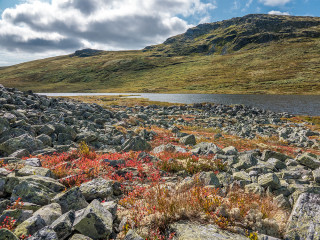 Afbeelding voor Rondane Nationaal Park