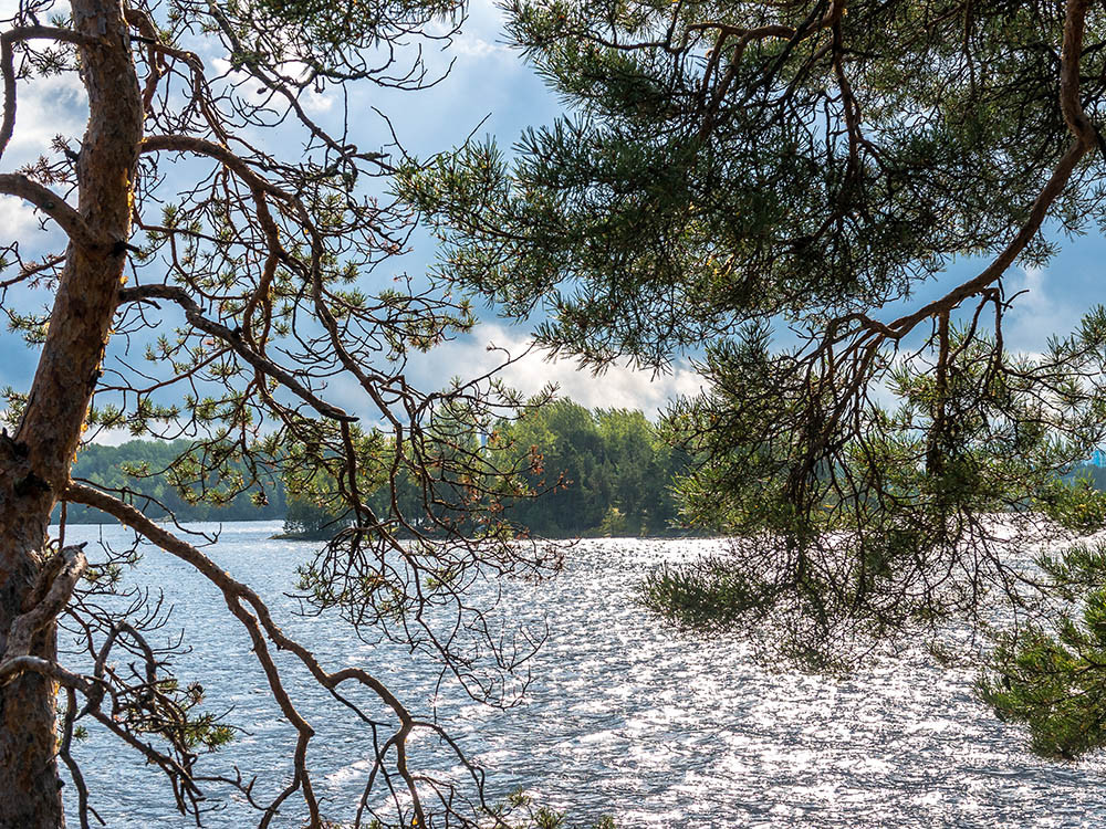 Natuur Saimaameer