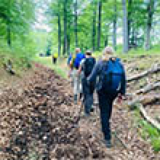 Afbeelding voor Loopend Vuurtje - Wandelreis Harz