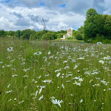 Afbeelding voor Nationaal Park Brabantse Wouden