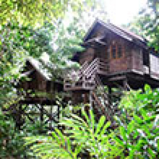 Afbeelding voor Booking.com - Permai Rainforest Resort