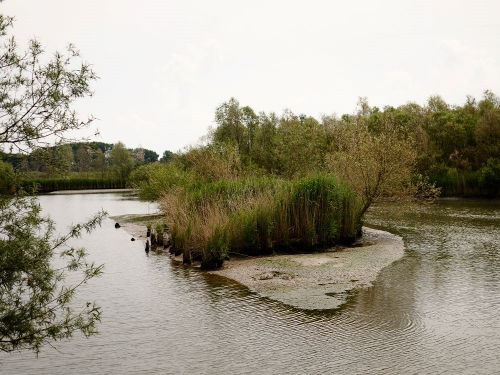 Fietsroute door de natuur