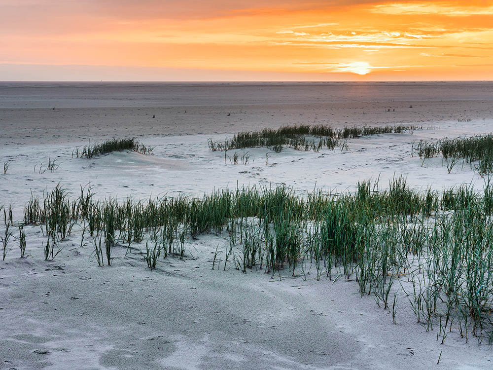 Winterwandelen Schiermonnikoog