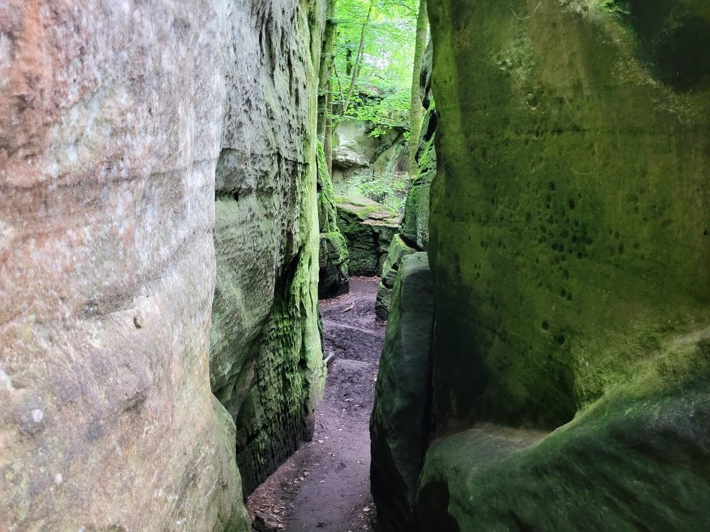 Mullerthal labyrinth