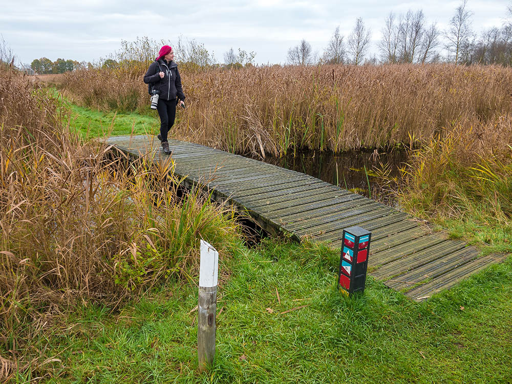 Wandelroute Alde Feanen