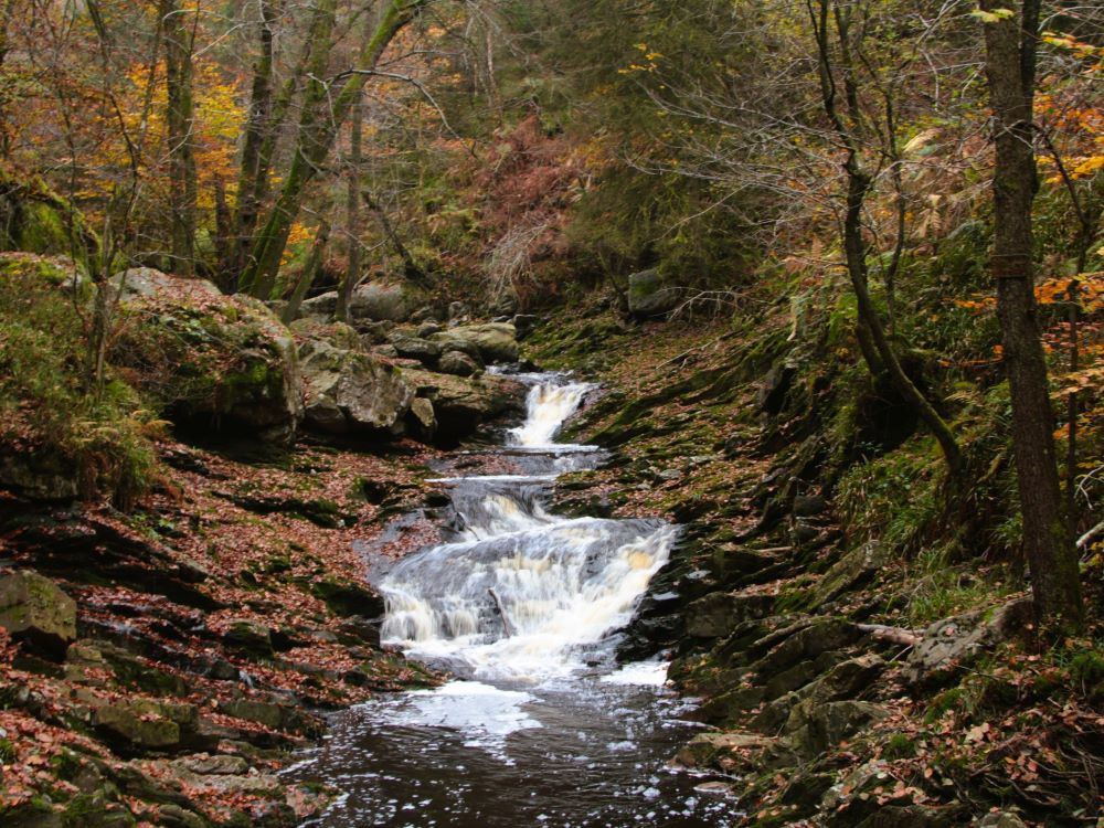 Ardennen bij Malmedy