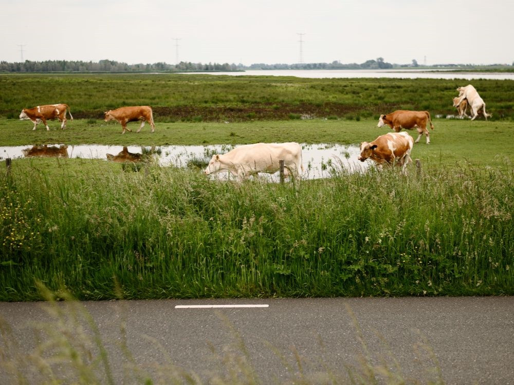 Altijd wat te zien