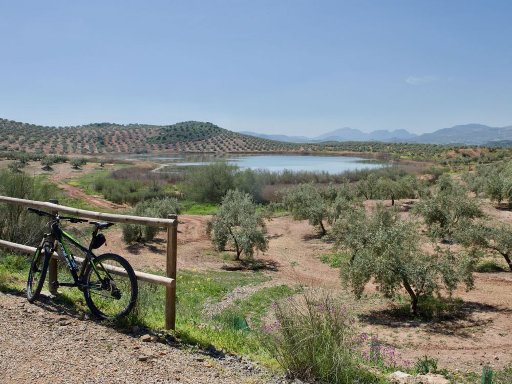 Via Verde del Aceite