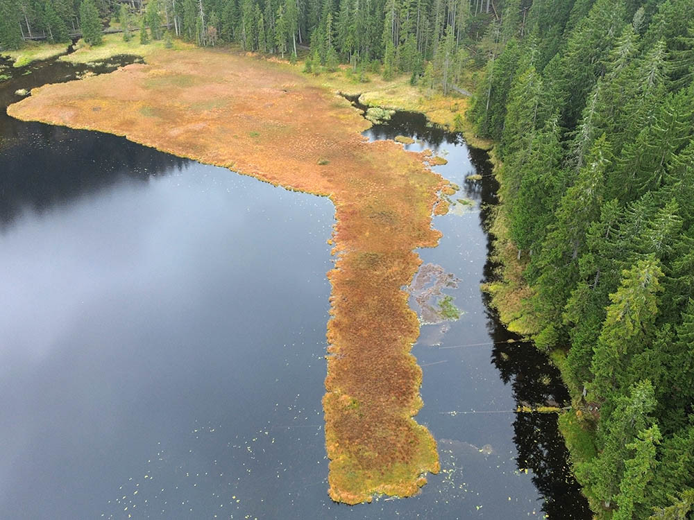 Drijvende eilanden in de Grote Arbersee