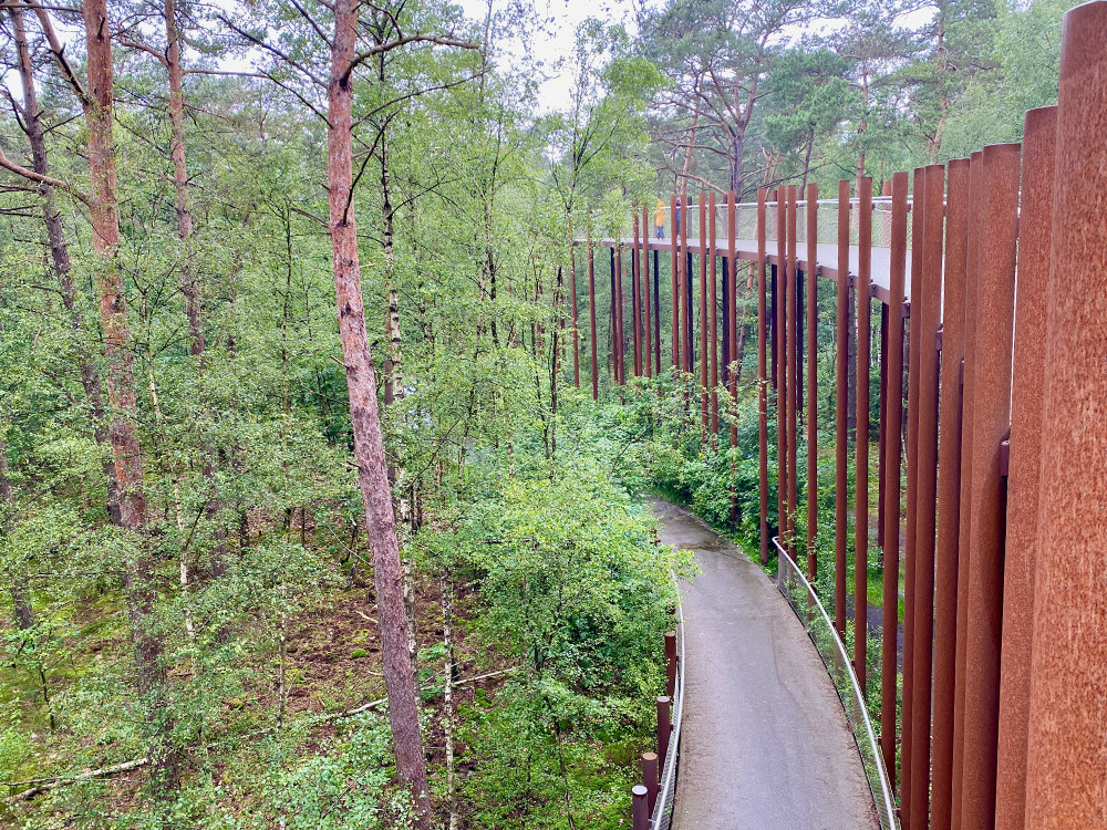 Fietsen door de bomen