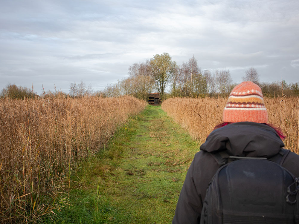 Naar de vogelhut