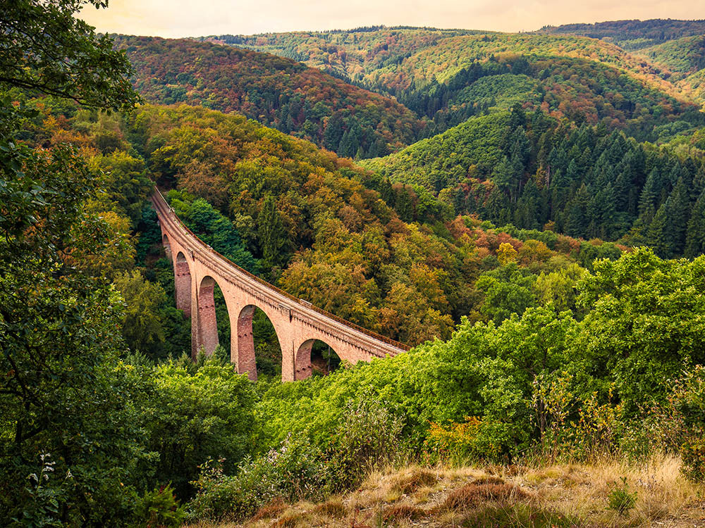 Hunsrück-Hochwald