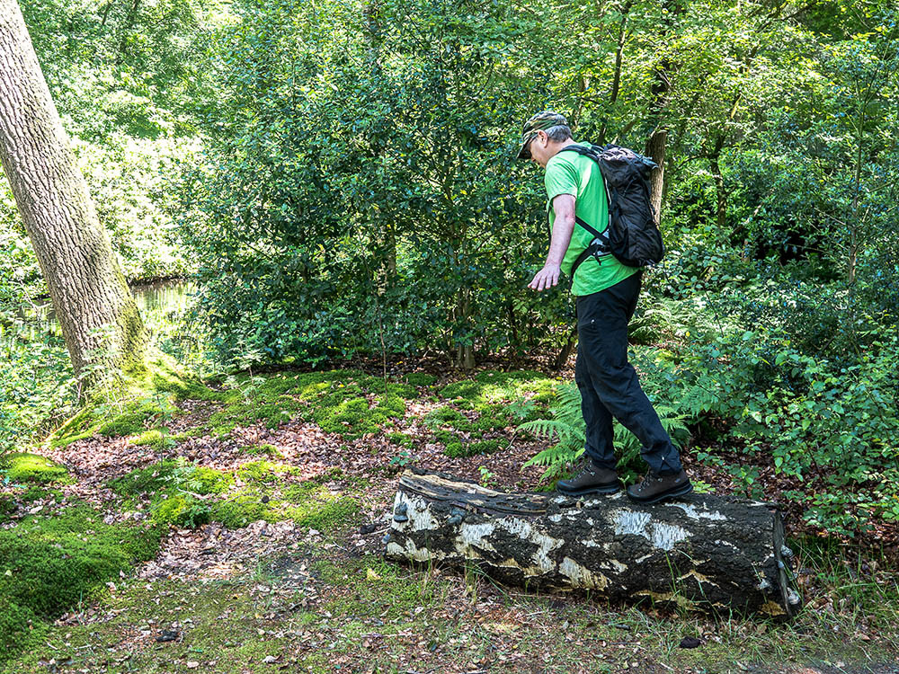 Schoenen voor trektochten