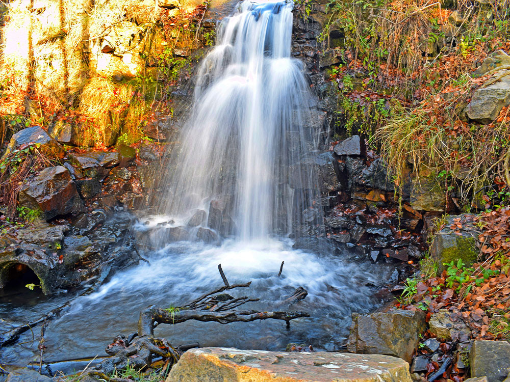 El Montseny