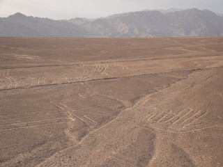 Afbeelding voor Nazca