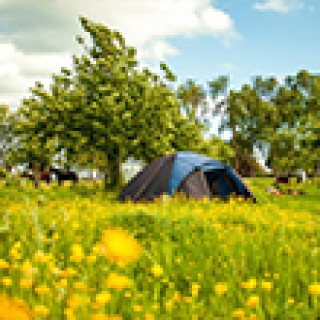 Afbeelding voor Campspace - Kamperen bij een natuurboerderij