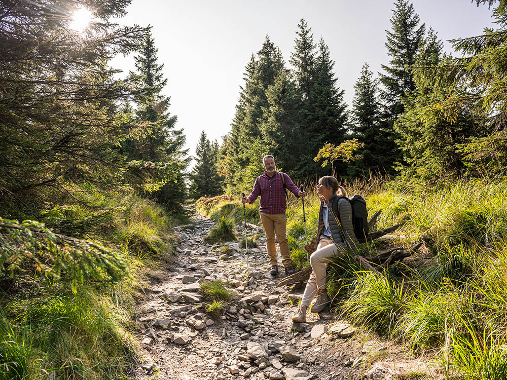 Wandelen in de Harz