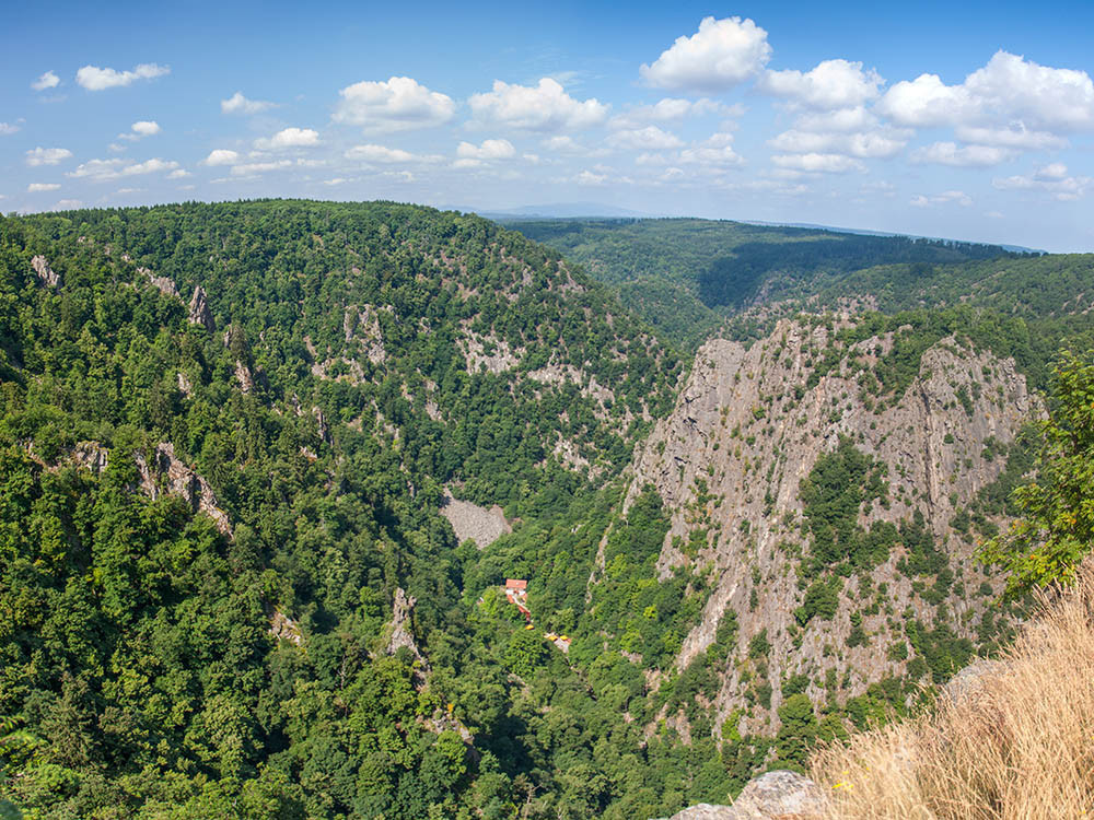 Natuur in de Harz