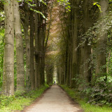 Afbeelding voor Nationale parken in België