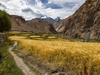 Afbeelding voor Wandelen in Ladakh