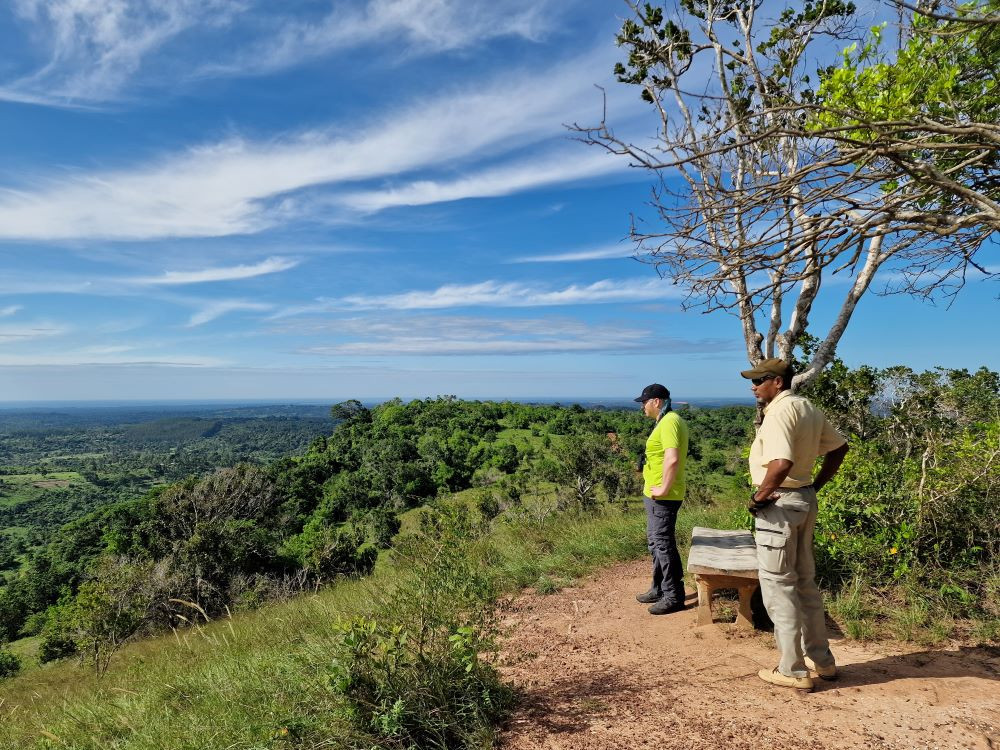 View point Shimba