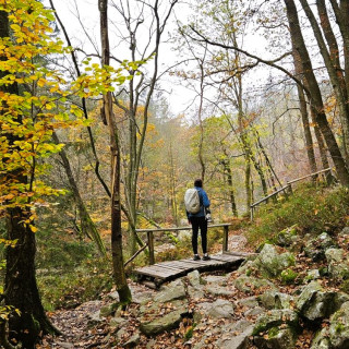 Afbeelding voor Wandelen in de Ardennen