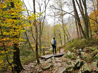 Afbeelding voor Wandelen in de Ardennen