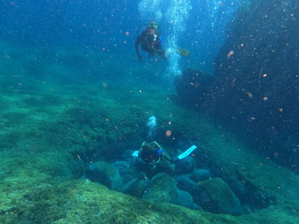 Duiken El Hierro