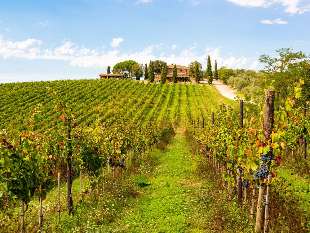 Agriturismo in Italië