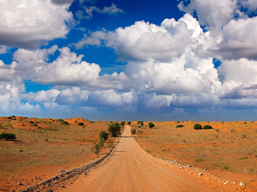 Kgalagadi Transfrontier Park