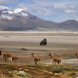 Afbeelding voor Chili