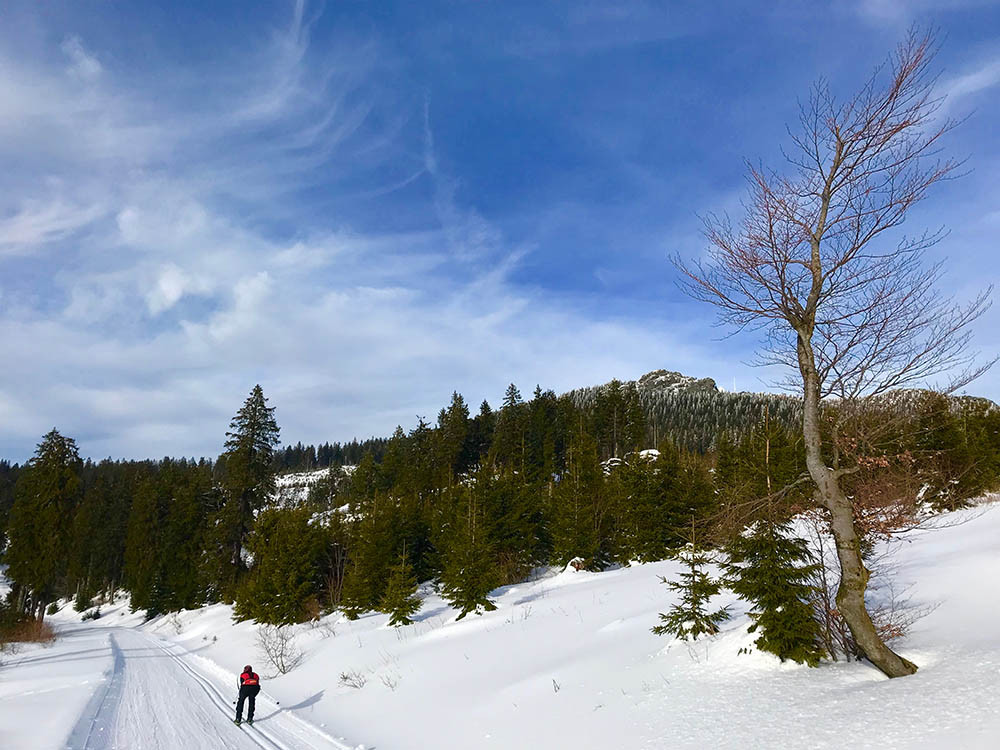 Langlaufen bij Bretterschachten