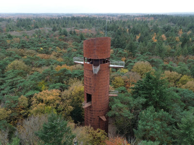 Afbeelding bij Drents-Friese Wold