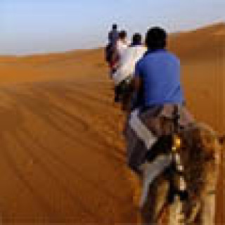 Afbeelding voor Djoser - Saharasafari