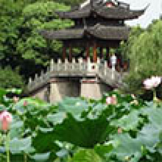 Afbeelding voor Lotus Tours - Maatwerkreizen China