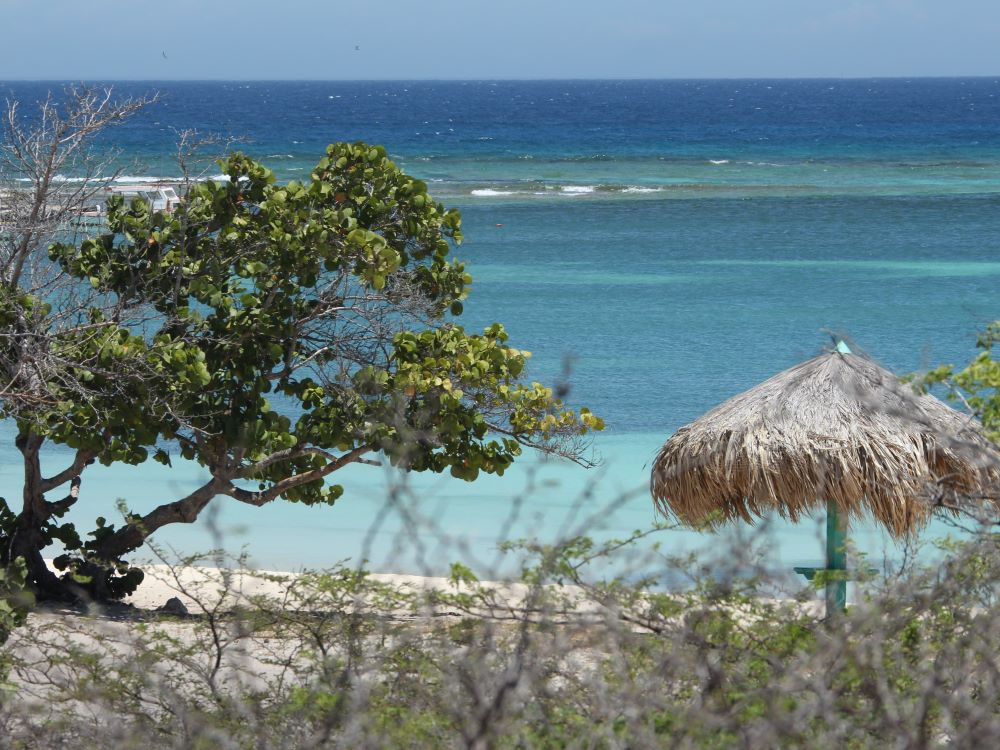 Aruba