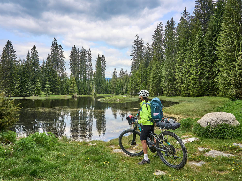 Fietsen in het Beierse Woud