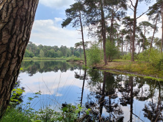 Afbeelding voor Veertien vennen route in Oisterwijk