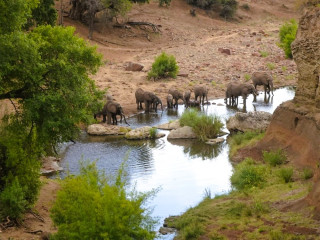 Afbeelding voor Zuid-Afrika