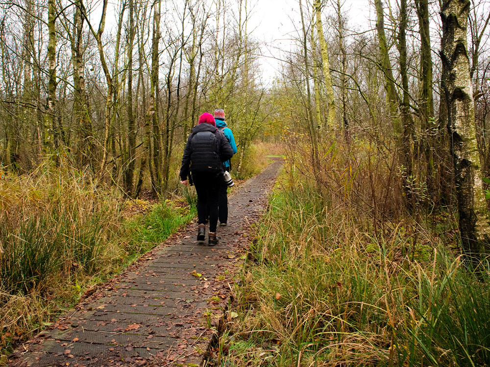 Wandelroute Alde Feanen