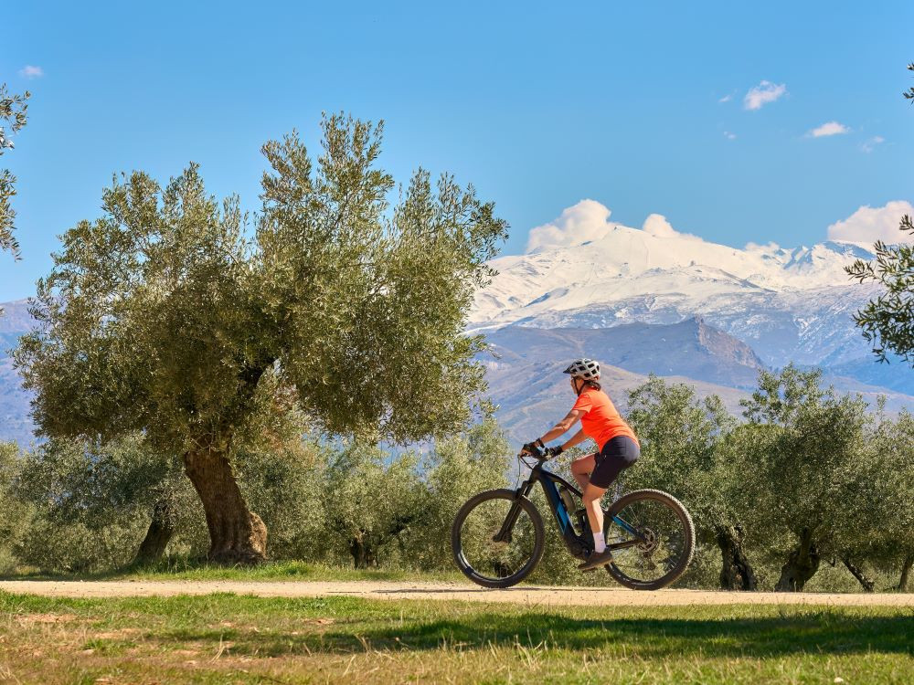 Fietsen Sierra Nevada