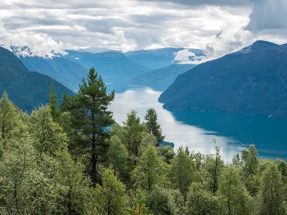 Sognefjord