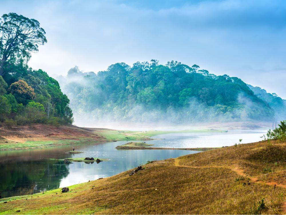 Periyar NP