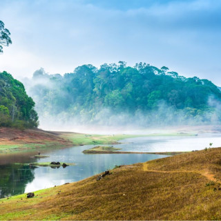 Afbeelding voor Periyar Nationaal Park