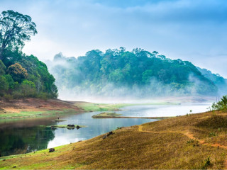 Afbeelding voor Periyar Nationaal Park